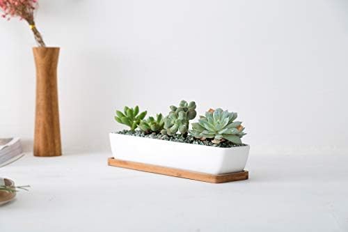 SeaStar White Rectangular Long Succulent Planter Pot, 11x2.16x1.75inch Modern Minimalist Ceramic Succulent Planter Pot with Saucer for Office, Desk