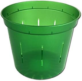 Orchid Pot - 6 inch Slotted Clear Orchid Pots - 3 Pack (Crystal Clear)