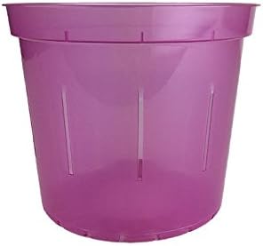 Orchid Pot - 6 inch Slotted Clear Orchid Pots - 3 Pack (Crystal Clear)