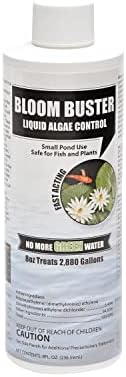 Bloom Buster Algae Control for Fish Ponds & Water Gardens - 8 Ounces - Safe for Koi Fish, Goldfish & Plants - Controls Algae in Ponds & Water Features
