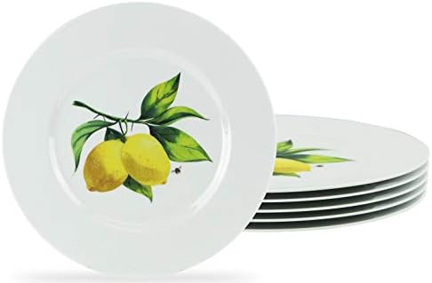 Calypso Basics Melamine Salad Plates Set of 6, 8.5 Inch, BPA-Free, Non-Toxic, Break-Resistant, Dishwasher Safe, Plates for Indoor & Outdoor Use