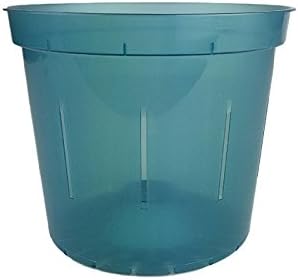 Orchid Pot - 6 inch Slotted Clear Orchid Pots - 3 Pack (Crystal Clear)