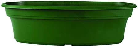 The HC Companies Akro Mils PAP20000B71C024LRT95 Panterra Oval planters, 20 in, Green