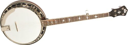Recording King RK-R35-BR Madison Tone Ring Banjo, Maple Resonator