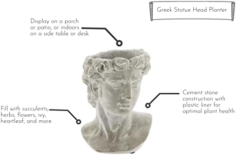 Greek Statue Head Cement Man Head David Planter (9")