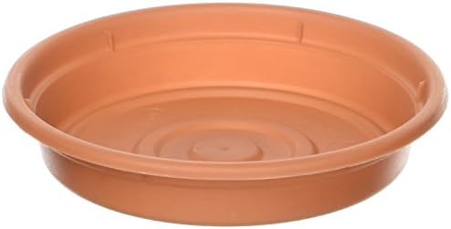 Bloem SDC8-46 Dura Cotta Plant Saucer, Terra Cotta, 8"