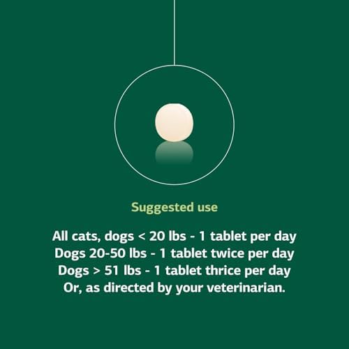 Standard Process Inc. VF Antronex for Pets - Feline & Canine Hepatic Support Formula - Healthy Liver Supplement for Cats & Dogs - Antronex