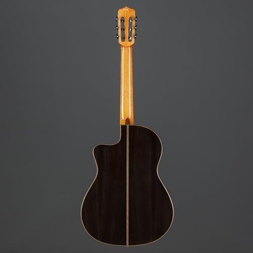 Cordoba Fusion 12 Rose II Nylon Acoustic Electric