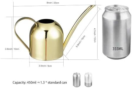 IMEEA Indoor Watering Can for House Plants 33oz/1L Brushed Stainless Steel Watering Can with Long Spout for Succulents, Bonsai
