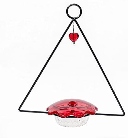 Birds Choice Hummerfest Hummingbird Feeder with Weatherguard | 12oz, Red | Built-In Ant Moat Protects Nectar, Rain Cover Keeps Feed Fresh, Easy to Fill and Clean