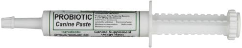 Dogzymes Canine Probiotic Paste Beneficial Bacteria-Enzyme 2.3 Billion CFU/gm Saccharomyces boulardii Organic Dried Honey Powder (30 Gram)