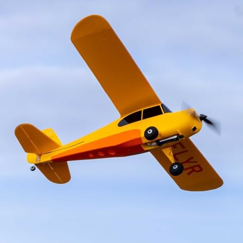HobbyZone Champ Anniversary Special Edition 515mm BNF Basic with Safe Select, HBZ04950