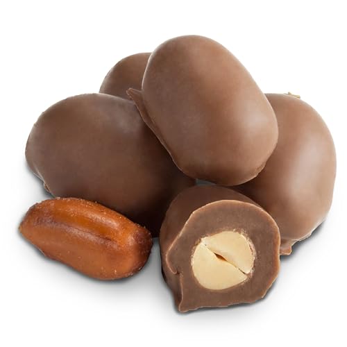 Arndts Fudgery Premium Chocolate Covered Candy (Milk Chocolate Raisins (2-13 oz. Bags))