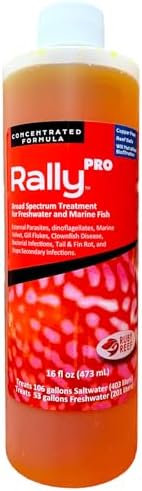 Rally Pro 8 oz. Round ( Pack of 2 )