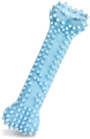 Nylabone Puppy Pacifier Chew Toy, Teething Toys for Puppies up to 25 lbs | Puppy teething toys with bacon flavor, soft material, textured nubs massage gums