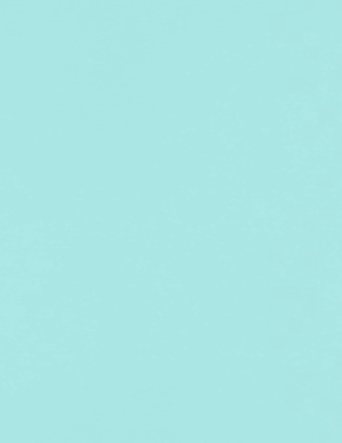 LUXPaper 8.5" x 11" Paper | Letter Size | White | 80lb. Text | 100% Recycled | 50 Qty