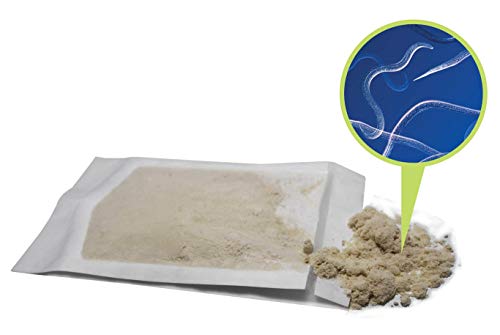 NaturesGoodGuys Beneficial Nematodes Steinernema feltiae SF - 5 Million