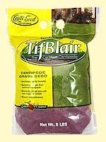Centipede Grass Seeds"Tifblair Certified" 6 LBS