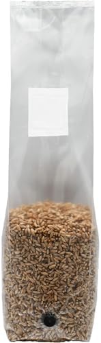 2 Pound Bag of Sterilized Rye Berries Mushroom Substrate with Self Healing Injector Port