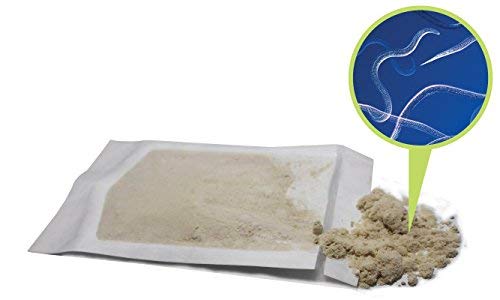 NaturesGoodGuys Beneficial Nematodes Steinernema feltiae SF - 5 Million