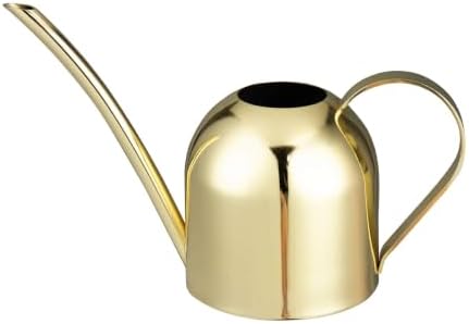 IMEEA Indoor Watering Can for House Plants 33oz/1L Brushed Stainless Steel Watering Can with Long Spout for Succulents, Bonsai