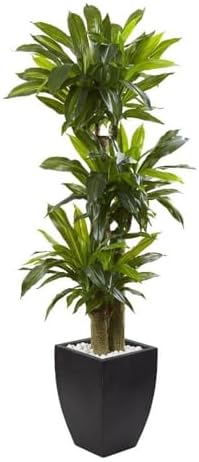 Nearly Natural 5.5ft. Corn Stalk Dracaena with Black Wash Planter