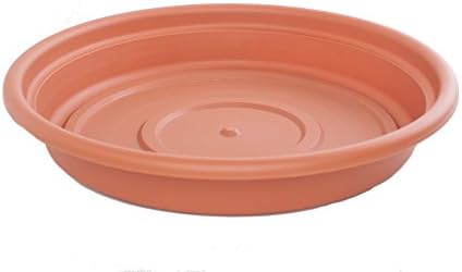 Bloem SDC8-46 Dura Cotta Plant Saucer, Terra Cotta, 8"