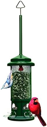 Squirrel Buster Standard Squirrel-proof Bird Feeder w/4 Metal Perches, 1.3-pound Seed Capacity, garden green | Four metal perches