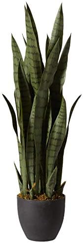 Nearly Natural 35in. Sansevieria with Black Planter and 4ft. Corn Stalk Dracaena Silk Plant (Real Touch), Green