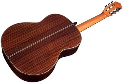 Cordoba C7 SP Nylon String Acoustic Guitar