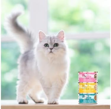 Weruva Classic Cat Stews 6 Flavors Variety Pack, 2.8 Ounce Cans Pack of 24