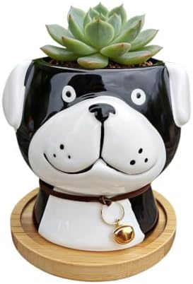 Cuteforyou Succulent Pots,Cute Animal Shaped Cartoon Ceramic Succulent Cactus Flower Planters -Plant Not Included，Cat