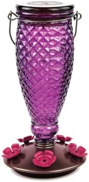 Perky-Pet Diamond Wine Top Fill Glass Hummingbird Feeder, 24 oz Capacity | Built-in Bee Guards for Outdoors, Purple Hanging Wild Bird Feeder