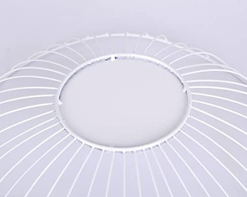 IBWell Short Curved-Edge Modern Creative Stylish Single Tier Dish
