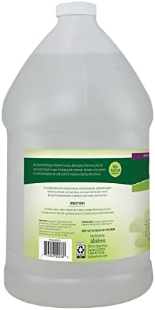 Biokleen Bac-Out Pet Stain Remover - Enzymatic, Natural, Plant-Based Destroys Stains & Odors, Safe for Surfaces & Fabrics