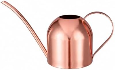 IMEEA Indoor Watering Can for House Plants 33oz/1L Brushed Stainless Steel Watering Can with Long Spout for Succulents, Bonsai