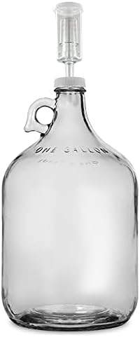 1 Gallon Glass Jug with Airlock, #6.5 Rubber Bung and Twin Bubble Design | Clear Fermentation Jug for beer, wine, cider & kombucha | Reusable food-grade construction for home brewing | Glass Fermenter