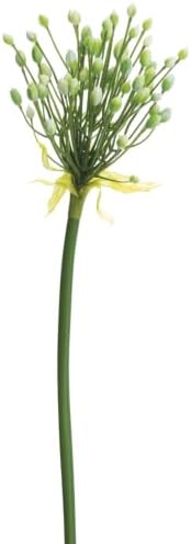28in Agapanthus Bud Artificial Flower Stem -Cream/Green (Pack of 12)