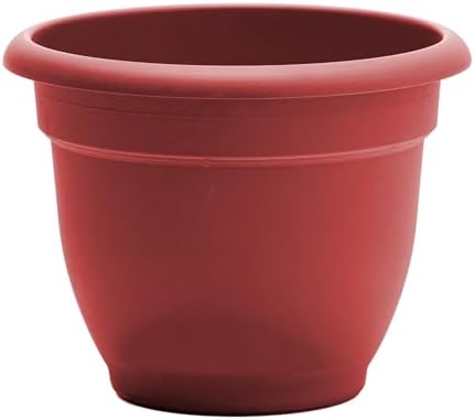 Bloem AP1013 Ariana Self Watering Planter 10" Burnt Red