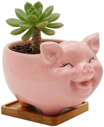Cuteforyou Succulent Pots,Cute Animal Shaped Cartoon Ceramic Succulent Cactus Flower Planters -Plant Not Included，Cat