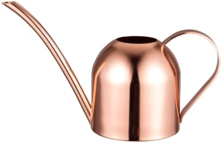 IMEEA Indoor Watering Can for House Plants 33oz/1L Brushed Stainless Steel Watering Can with Long Spout for Succulents, Bonsai