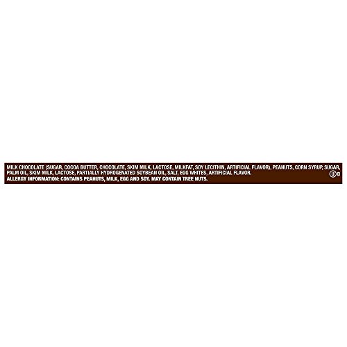 Snickers Fun Size Chocolate Caramel Candy Bars, Treat Size Bulk Pack (Pack of 2 Pounds)