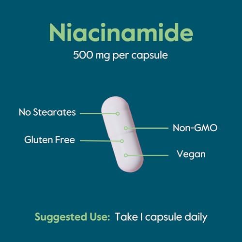 BESTVITE Filler-Free Niacinamide 500mg (240 Veg Caps) - Flush Free VIT B-3 | No Stearates - Vegan - Non GMO - Gluten Free - Non-Flushing Vitamin B3