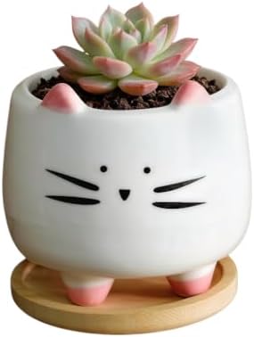 Cuteforyou Succulent Pots,Cute Animal Shaped Cartoon Ceramic Succulent Cactus Flower Planters -Plant Not Included，Cat