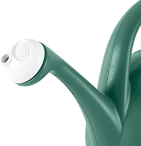 2-Gallon Premium Plastic Rosette Watering Can - The HC Companies 11"x21"x13.75" in Evergreen Color