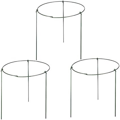 (Pack of 3) Garden Plant Support Rings, 5.5" Wide x 11" High, 3 Legs