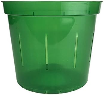Orchid Pot - 6 inch Slotted Clear Orchid Pots - 3 Pack (Crystal Clear)