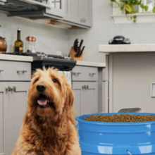 bucket food storage containers with lids airtight bucket with lid buckets food grade bucket brine