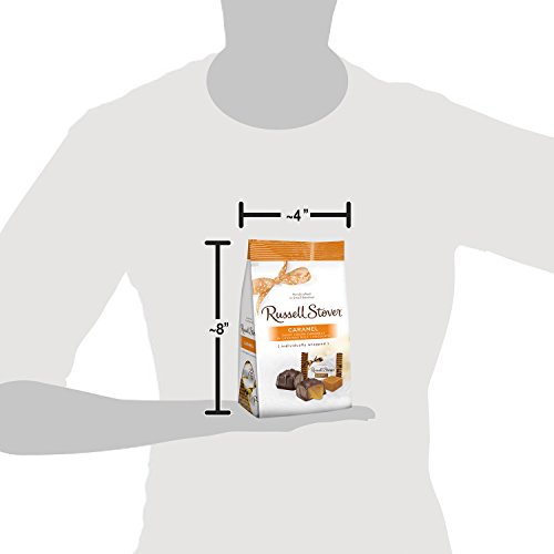 Milk Chocolate Caramels Favorites, 6 oz. Bag