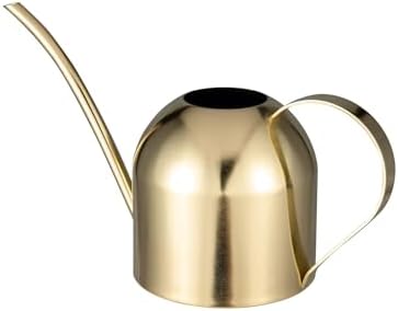IMEEA Indoor Watering Can for House Plants 33oz/1L Brushed Stainless Steel Watering Can with Long Spout for Succulents, Bonsai